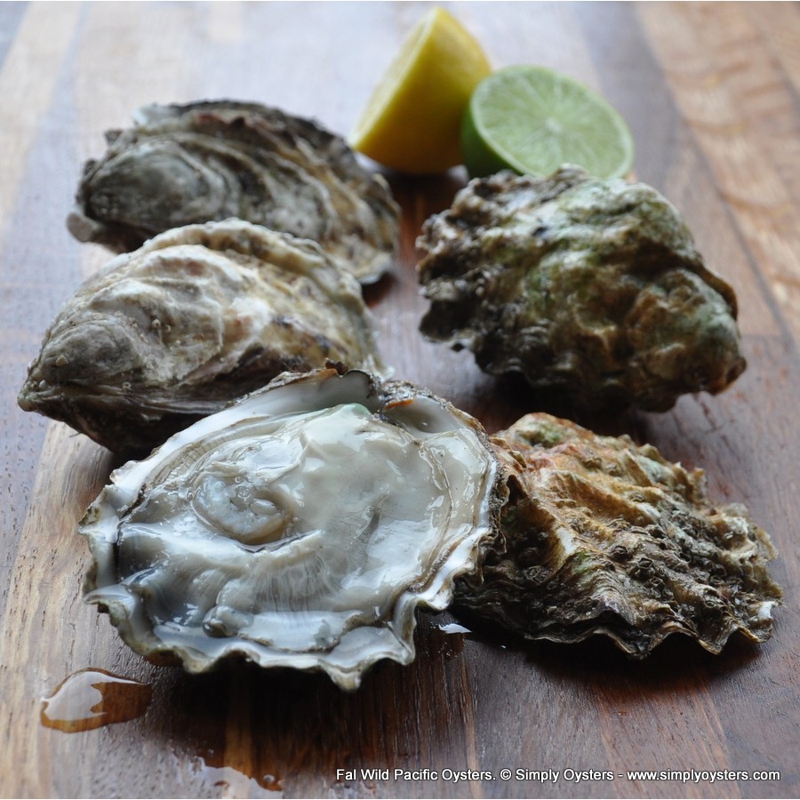 Simply Oysters UK's Widest Selection of Oysters UK Delivery